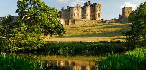 ¿Conoces el jardín venenoso del castillo de Alnwick?