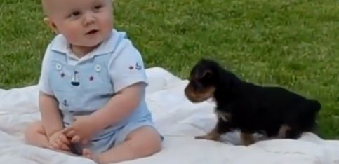 ¡Las imágenes más graciosas de un bebé y un cachorrito!