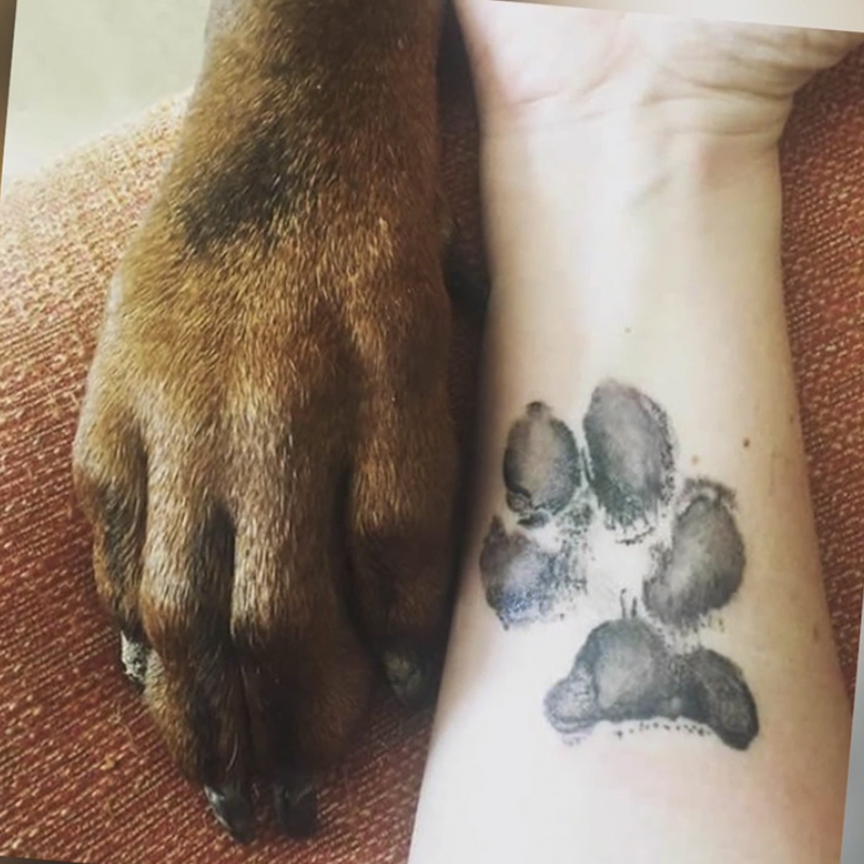 Los tatuajes para acordarte siempre de tu perro