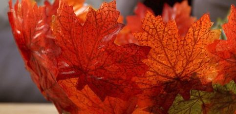 Tolle DIY-Idee zum Nachbasteln: Herbstliche Blätterschale
