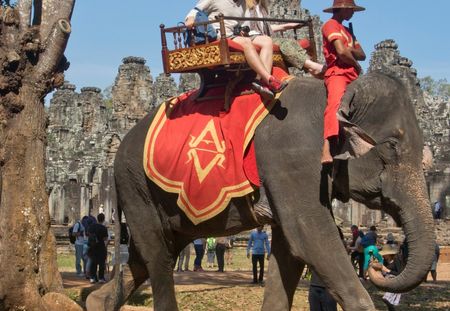 La réalité derrière un cliché de touristes à dos d'éléphant