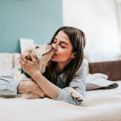 ¿Qué animal eres según tu signo del zodiaco?