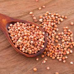 ¿Qué es el sorgo y cómo incluirlo en tu dieta?