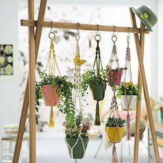 Jardines verticales, la nueva tendencia deco