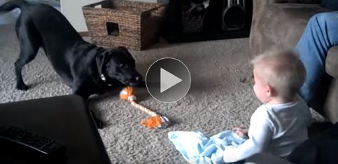 ¡Este bebé y este perrito no se ponen de acuerdo!