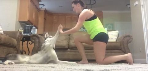 Una buen idea: ¡entrenar con tu perro!