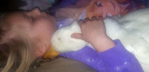 Una conexión especial: una niña y su pato
