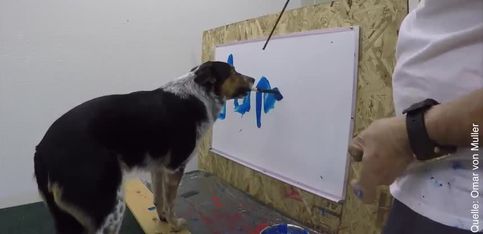 Talento perruno: ¡este perrito sabe escribir su nombre!