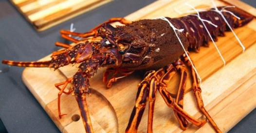 Langouste Comment Cuisiner La Langouste En Vidéo 