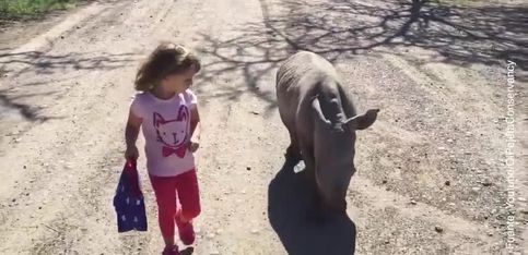 ¡Un rinoceronte y una niña, los mejores amigos!