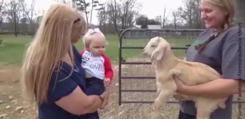 ¡Este bebé y esta cabrita se comunican!