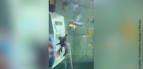 Increíble: ¡un acuario dentro de una cabina telefónica!