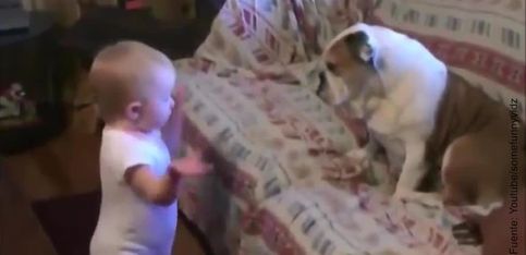 ¡Este bebé tiene ganas de guerra con su perro!