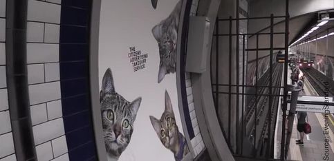 Des photos de chats décorent le métro londonien...