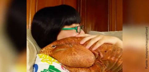 Ver para creer: ¡este lagarto se comporta casi como un gato!