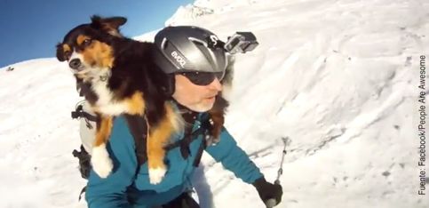 ¡A este perrito le encanta esquiar con su dueño!