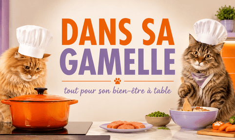 Dans sa gamelle !