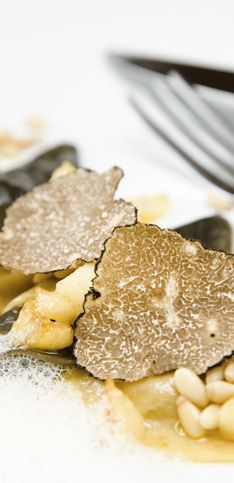 32 plats avec une touche de truffe pour sublimer vos menus