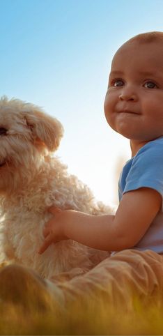 Fotos entrañables de niños con perros, ¡prepárate para emocionarte!