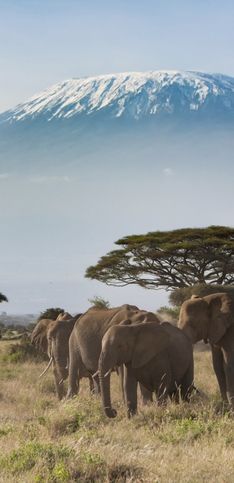 30 maravillas de África que deberías visitar una vez en la vida