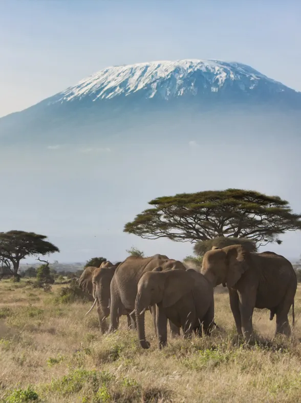 30 maravillas de África que deberías visitar una vez en la vida