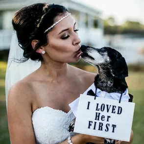 #Instadog: las mejores fotos de perritos participando en bodas