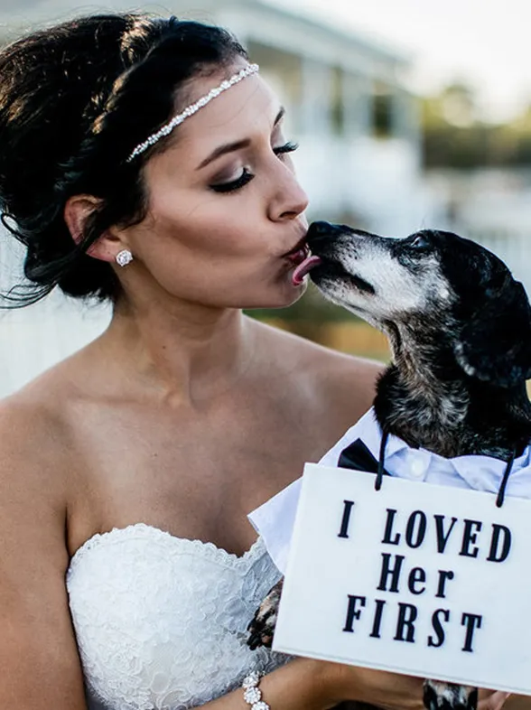 #Instadog: las mejores fotos de perritos participando en bodas