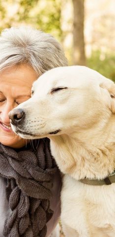 30 razas de perros tranquilos ideales para personas mayores