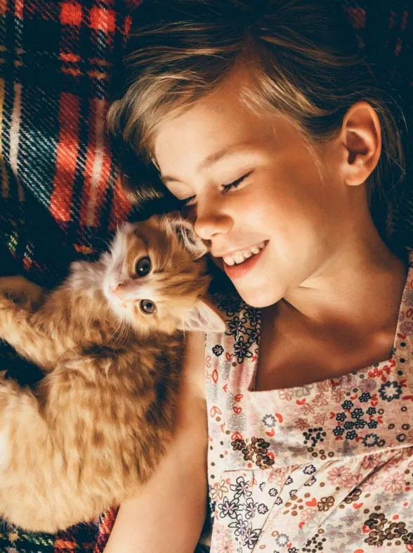 La raza de gato ideal según tu signo del zodiaco