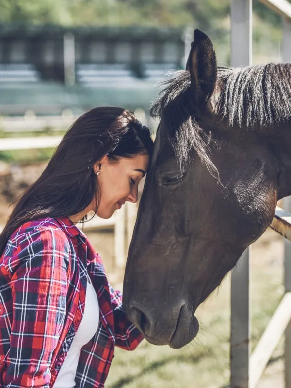 ¿Cuál es tu Tótem (animal) según tu signo del zodiaco?