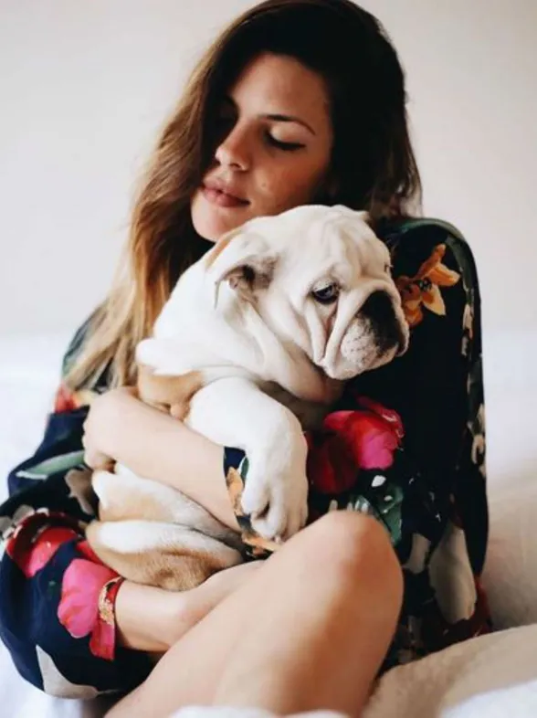 Carlos Ríos, último en sumarse a la moda: famosos obsesionados con sus bulldog