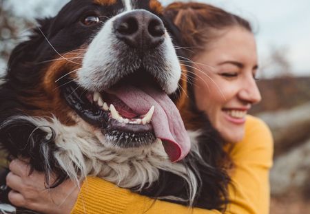 17 motivi per cui cani e gatti ci migliorano la vita
