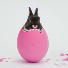 Ostern 2023: Die schönsten Ideen für ein gelungenes Fest