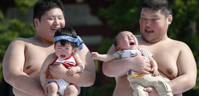 Et Si On Organisait Un Combat De Bebes Et De Sumos Comme Au Japon Hein