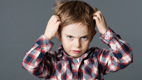 Lentes Et Poux Quels Traitements Pour En Venir A Bout