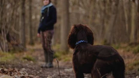 Femme Enceinte Tuée Par Des Chiens Ce Que Lon Sait Du