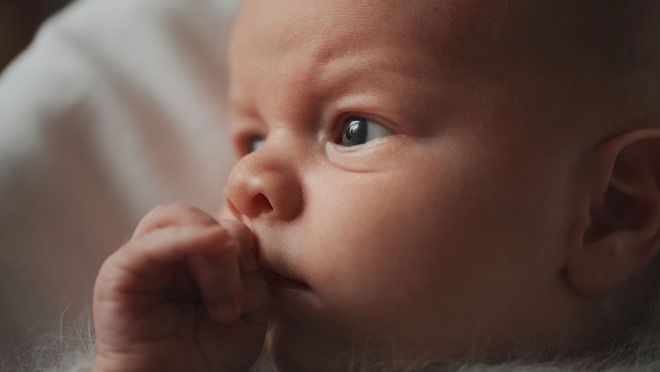 Ces Images 3d Revelent A Quel Point Le Crane Du Bebe Est Deforme Durant L Accouchement