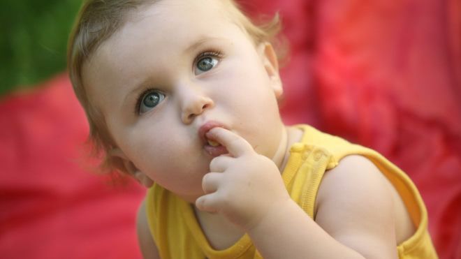 Montessori Trois Activites A Faire A La Maison