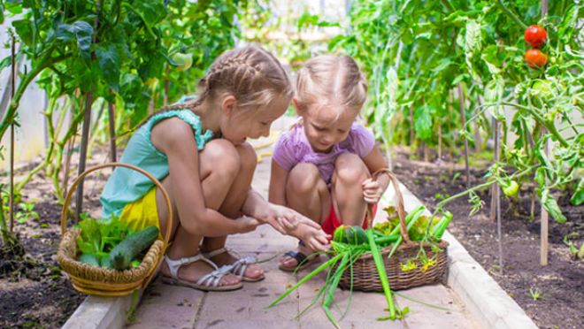 Jardiner Avec Ses Enfants Quelques Ateliers Possibles