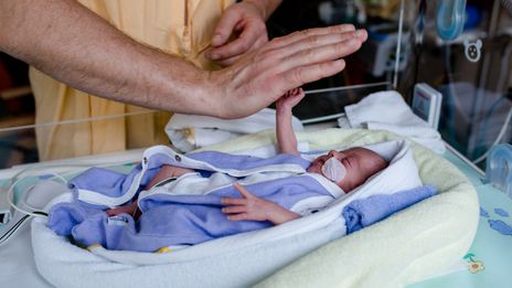 On Ne Nait Pas Parent D Enfant Premature On Le Devient Conseils De Parent Et De Pediatre