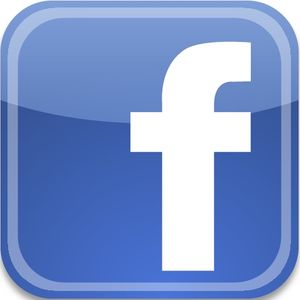 Deux-SÃ¨vres Macaron Facebook