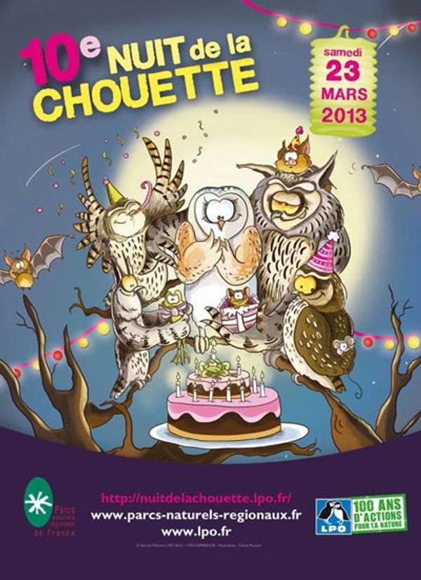 La 10ème Nuit de la Chouette au Finistère + Concours