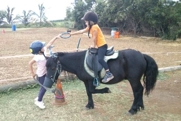 Une initiation à l'équitation de 2h avec L'ile aux poneys