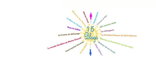 Les 15 blogs, j'en fais partie ! 