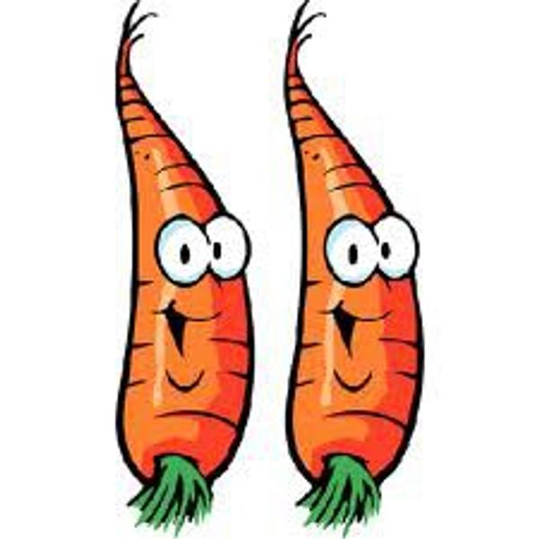 1e jour de carottes !