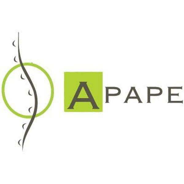 L' APAPE Association de Prévention & d'Action contre la Pré  Eclampsie 