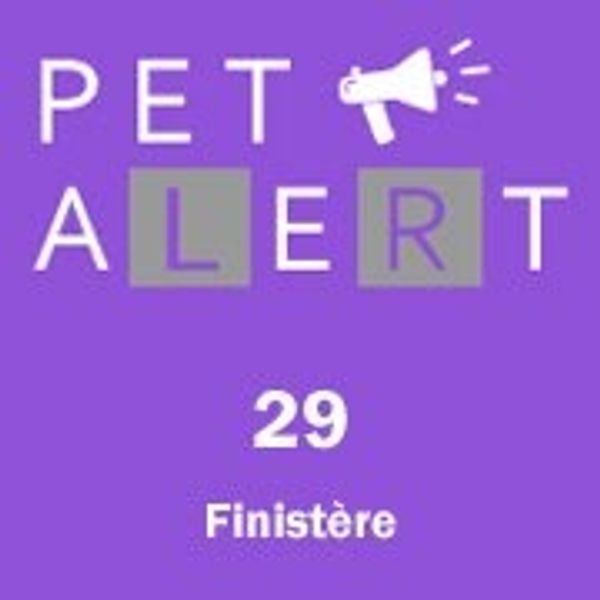 Pet' Alert 29
