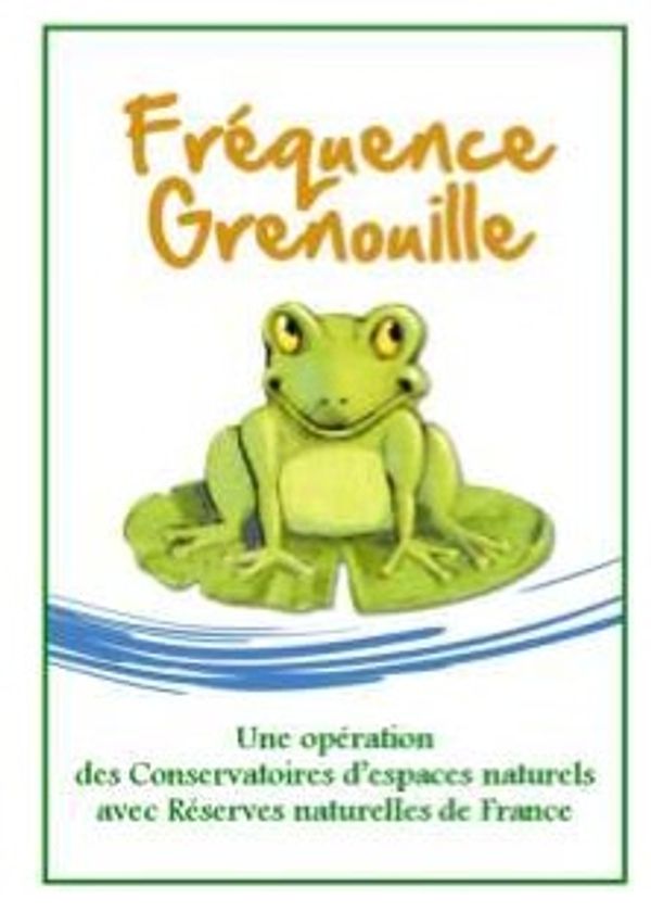 Fréquence grenouille 2013 ( BIGUGLIA )