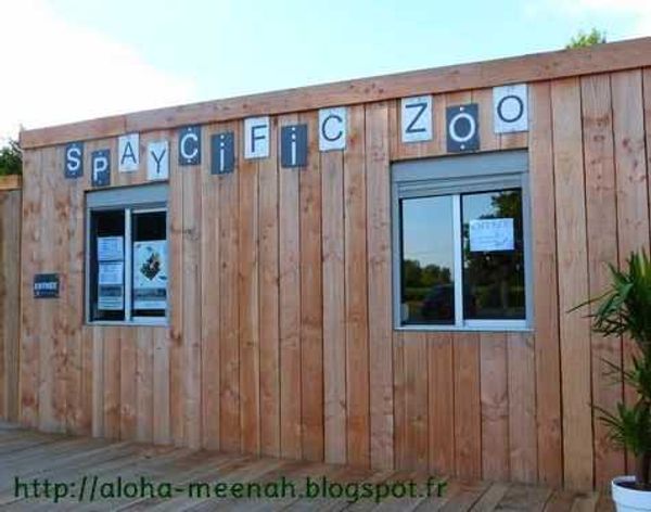 Spaycific Zoo