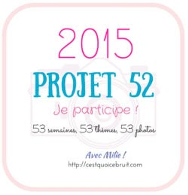Projet 52 - 2015: Mon amour